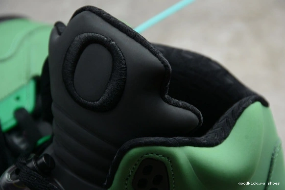 5 SE CK6631-307 OREGON AIR CK6631-307 JORDAN RETRO 0301